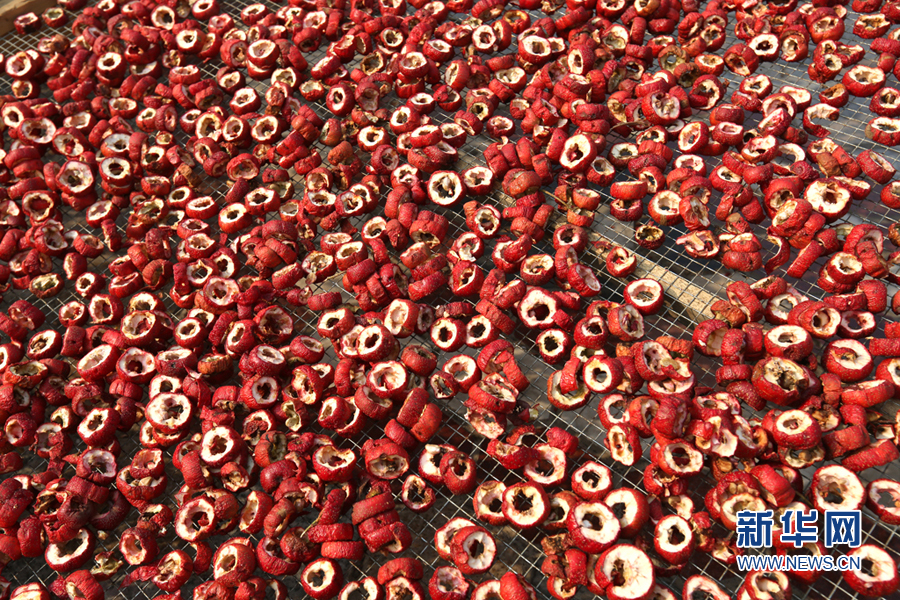 ¹شĺƷʺãΪıʳƷ