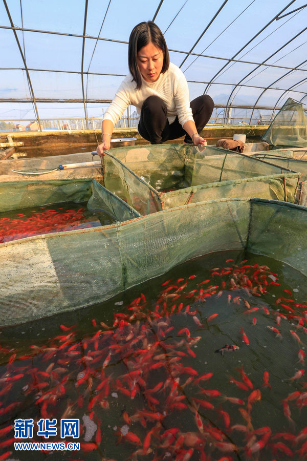 116գڽʡһֳأԱѩڶԽࡣ