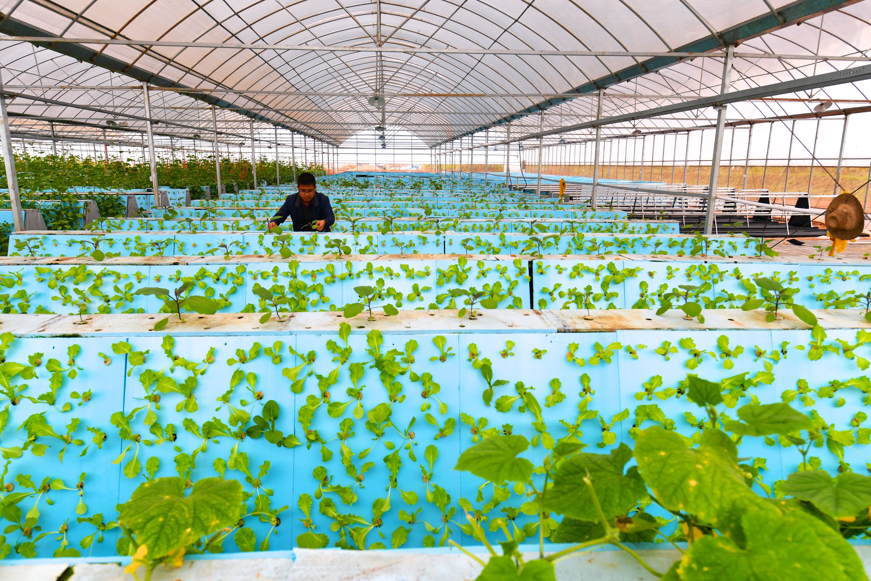 116գйҿƼ԰ĹԱڼֲ