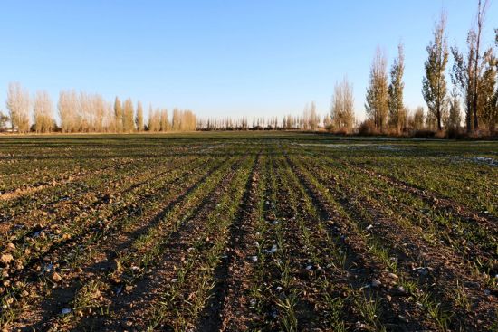 ½ŵʮʦһ˰6600ĶСм̳