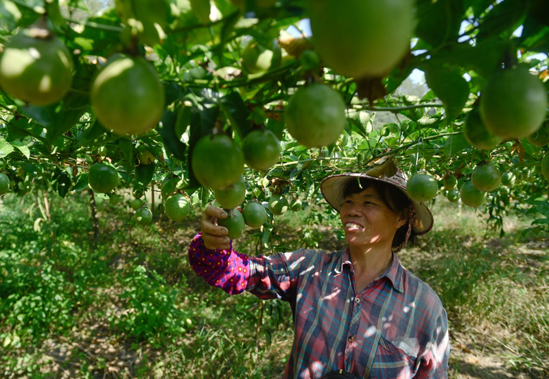 117գũڸʡϺж塰ͥũջ