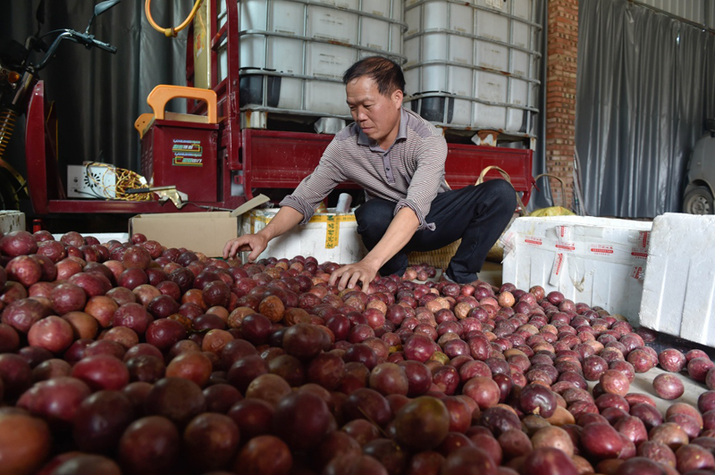 117գڸʡϺж壬ũ׼ͨƽ̨۵İװ䡣