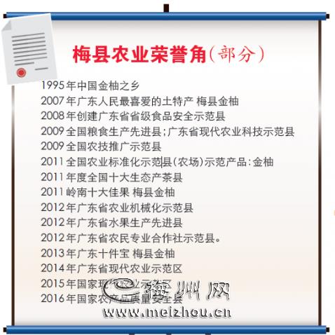满树的金柚让小朋友开心不已。