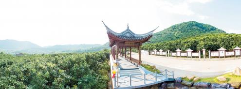 雁洋金柚公园。