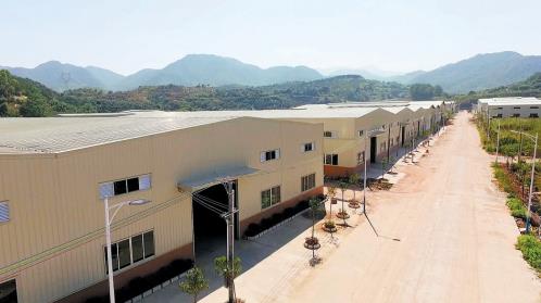 松口镇大黄村梅县金柚产业园。