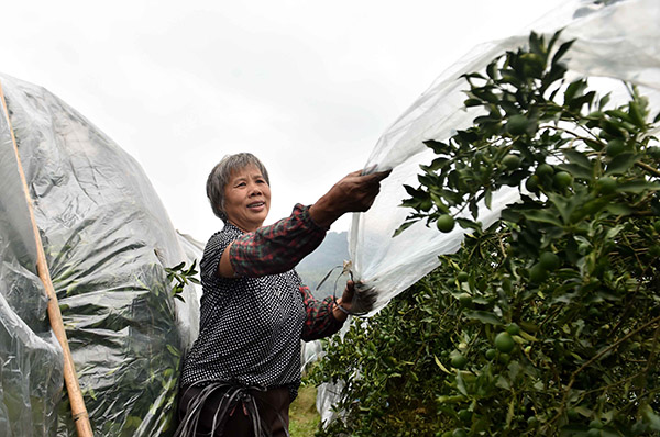 117գڹڰشִ壬ũΪ۸ǱĤ