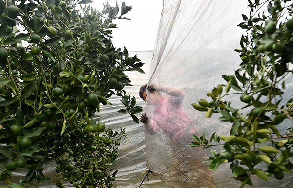 117գڹڰشִ壬ũΪ۸ǱĤ