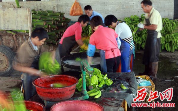 ڵڴ壬㽶ϴðװ׼г