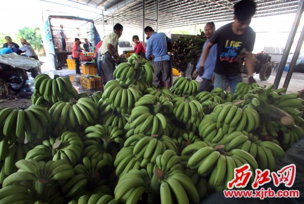 ڵڴ壬ũǰ㽶չнס