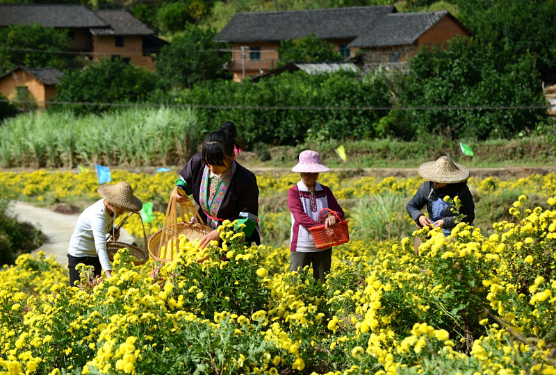 1110գص·կʹڲժƽա