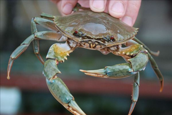 ̨ɽз֪ 㶫̨ɽСззȴ