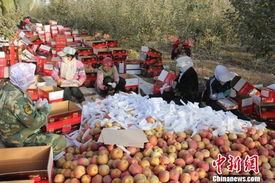 ͼΪũæŸѾժĺ츻ʿƻּ״װ䡣