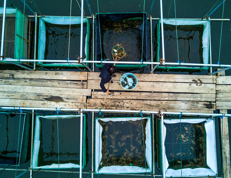 1112գһֳڴеĺз׼ۡ