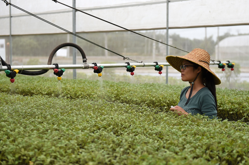 1113գһ߲˲ҵʾļԱڿƻеܲ硣