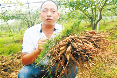 㶫춬ʾֲڶ׻ɹԤĶ25000 Чؿũ¸·