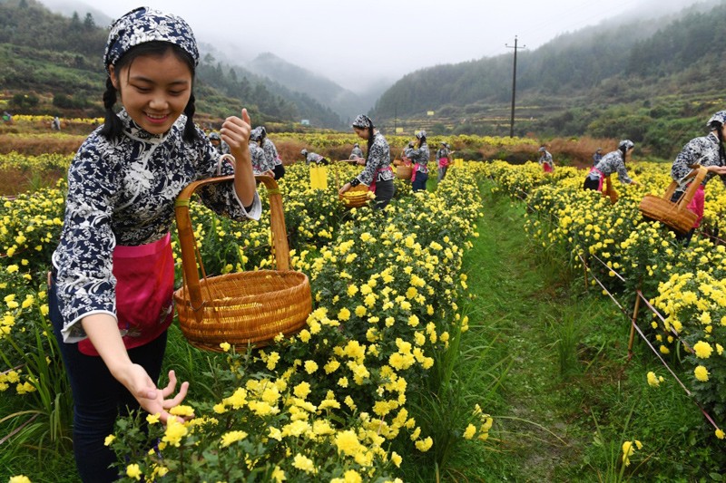 1113գԴԴҵ޹˾ԱԴشժлʾա