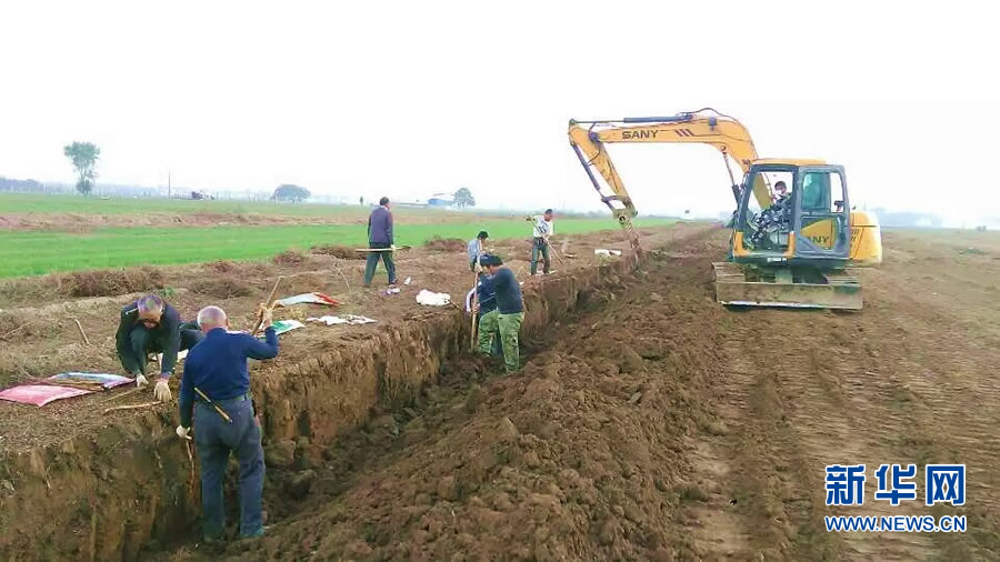 挖掘机帮忙挖山药