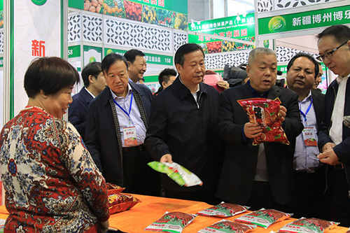 2016½ɫֹƷݽ׻11տĻ