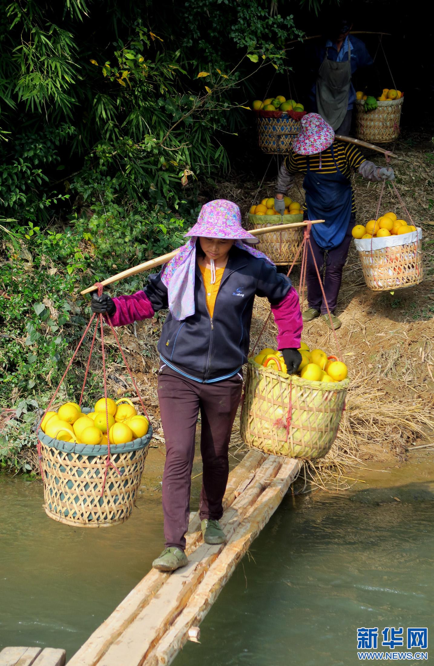 1117գԶسͷĹũŸոջǰɢء