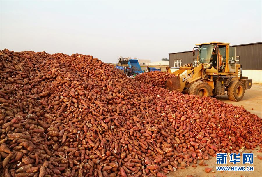 ¬һҸӹҵ˽չĸ⣨1025㣩