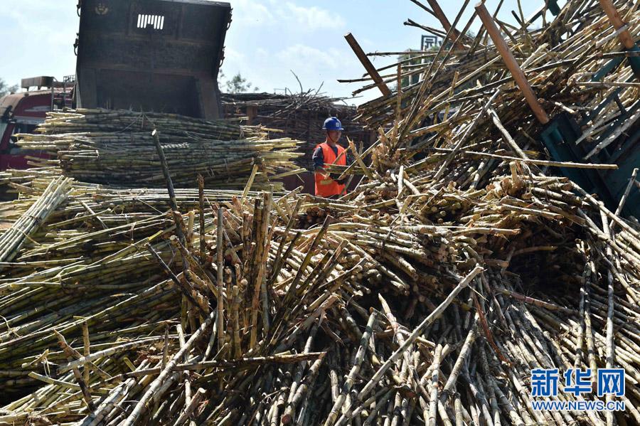 1118գһڹнһǳ鿴װж