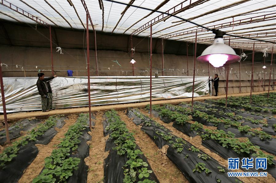 1120գӱʡˮҳׯũڴĤ