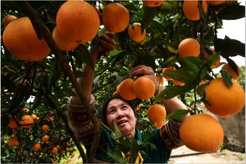 գط彭רҵԱڸ԰ժ١