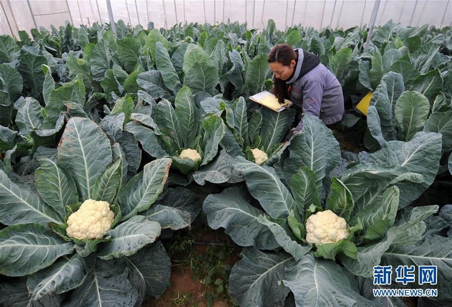 1122գӱʡũڴڲ鿴˻ơ