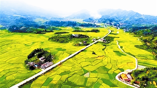 ֳ ֮縴ˡصۺģưĶ