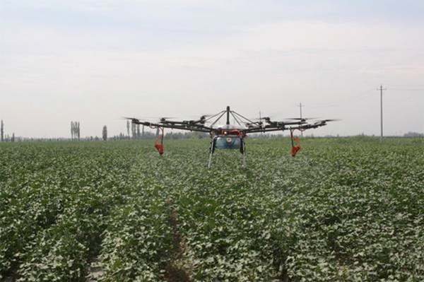 ½аȪ򣺺¼ʵũҵڱЧ