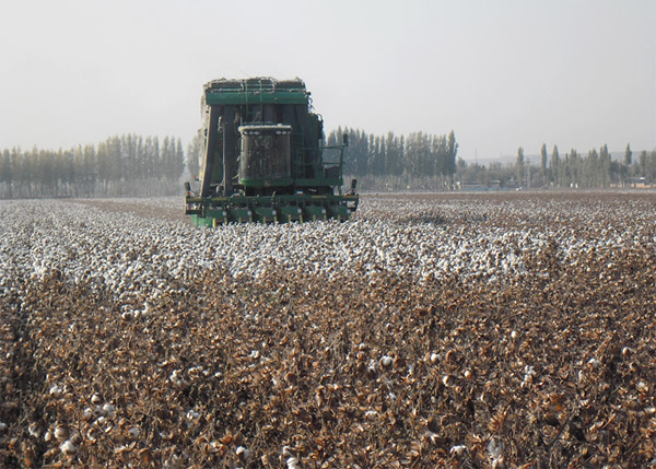 ½аȪ򣺺¼ʵũҵڱЧ