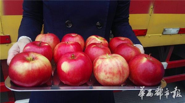 Ĵɶո۽ˮָڰͨ ƻ봨 20Ԫһ