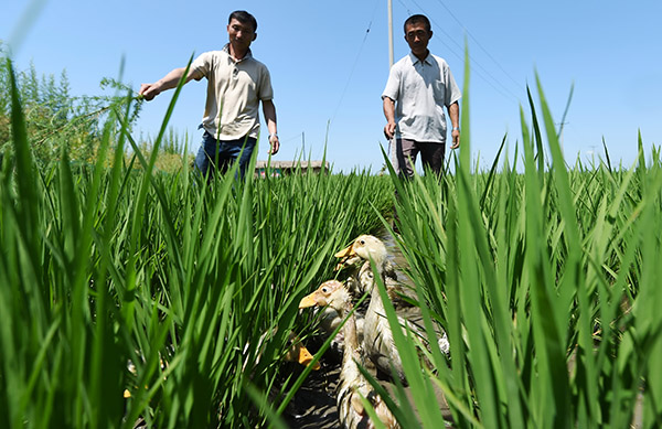 ںʡ峣ﵾлˮأֲڸϳѼ75㣩