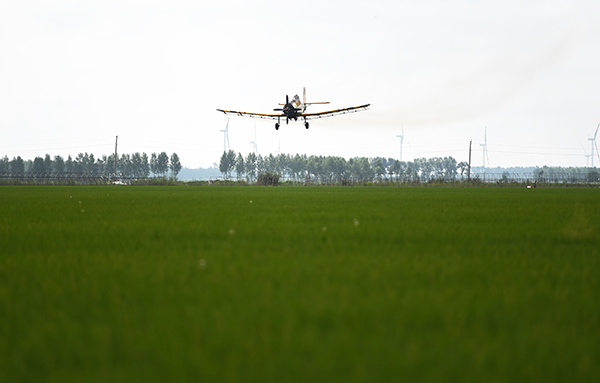 ںʡũɻڵϿսкҵ727㣩