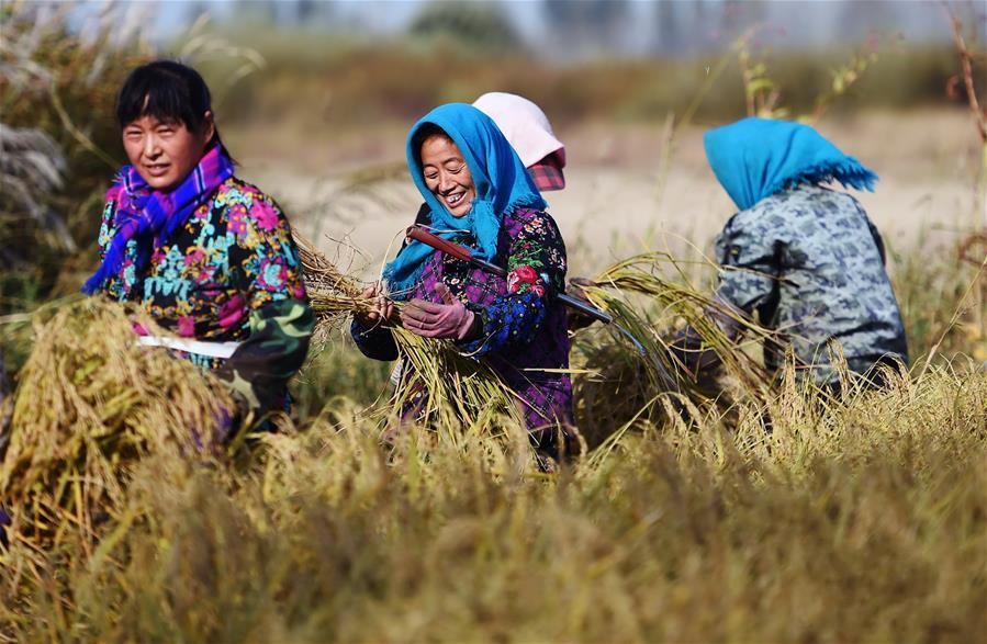 峣ﵾлˮأˮֲոˮ925㣩