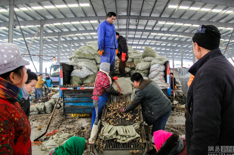 20161127գʡУӽгжغҪɸѡ