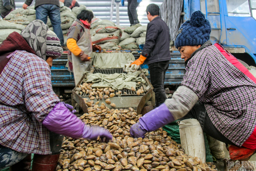 20161127գʡУгæµķּ𹤡