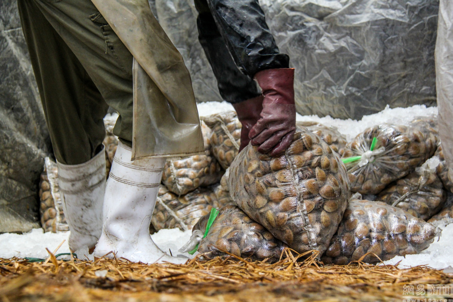 20161127գʡУΪг»ߣװжҪɽĻӼӱա