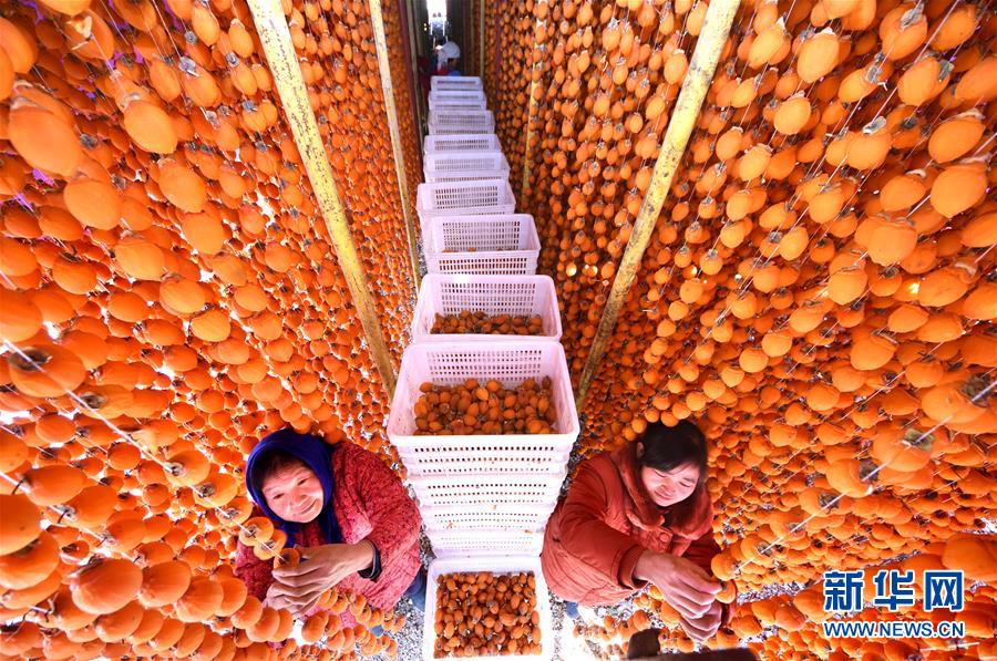 1127գɽʡԴׯ¼ҹׯũջɹ