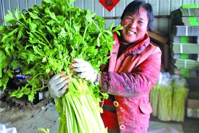 ɽƽҹ۲˷ ԤƲũÿĶ׬5000Ԫ