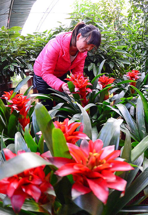 1128գӼִ廨ũҴԻܡ