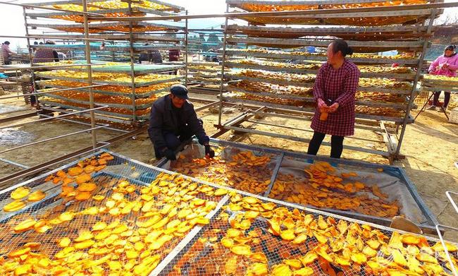 £ɽʡׯɽͤˮȪɽڴũɹ׼ڵĵع档