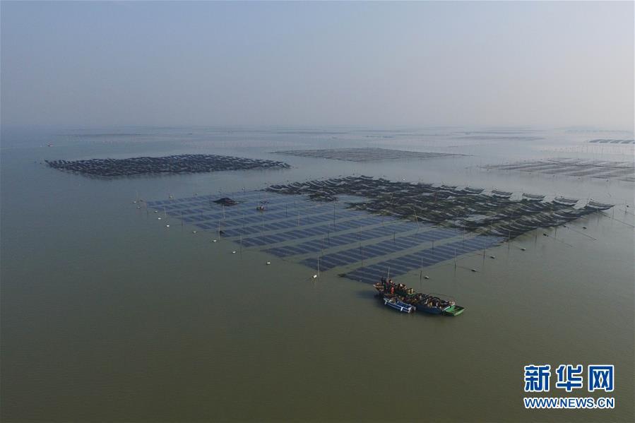 1130պĵĽƸи¿ڴ庣ϲֲ԰