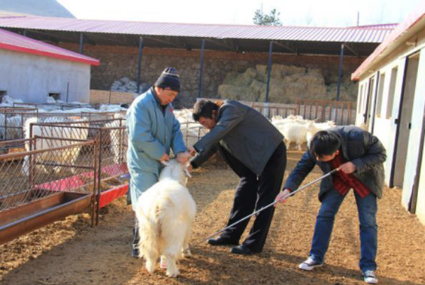 ɹųУǿϰȫܹ ΪũƷݻ