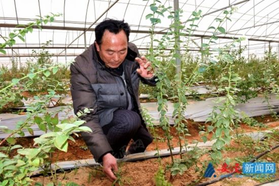 ջػƶ򣺲ҵԲ ӿɫҵչ