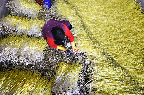 121գɽʡԴׯСˮũոơ