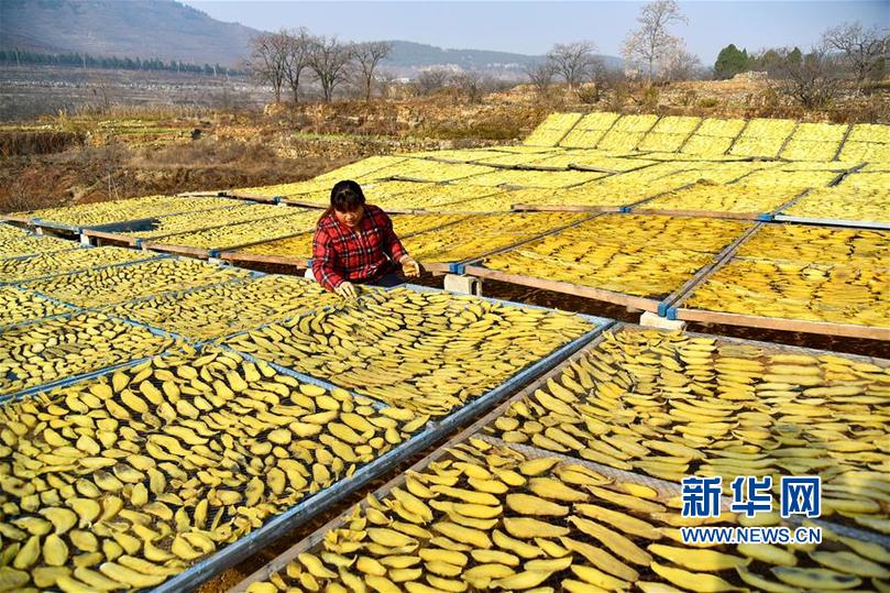 121գɽׯˮȪɽǰũɹعϸɡ