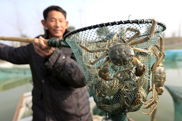 121գڽʡзأзũſڲ̴բз