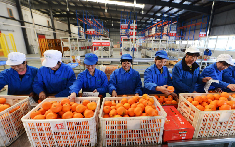 126գӹͷҵũҵŵԱڷװʳȡ