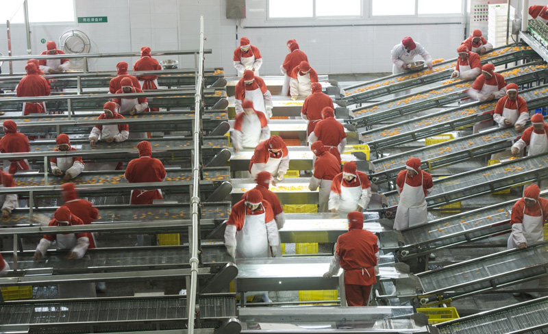 126գӹͷҵũҵԱȼӹæµ